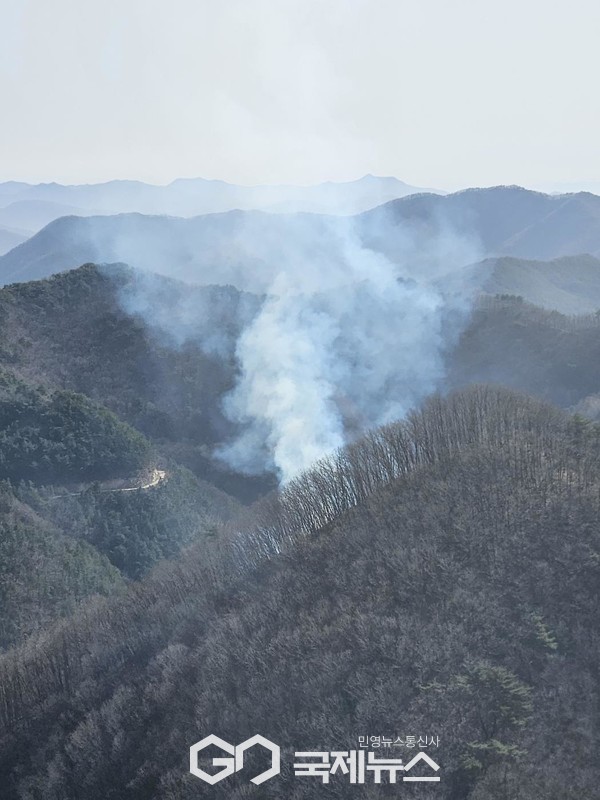 금산군 산불 신속 투입 49분만에 진화 /충남도청 제공