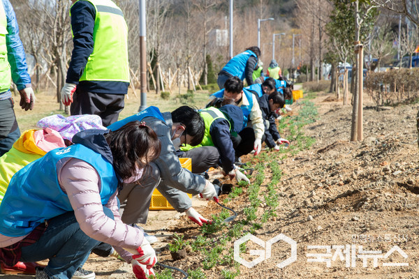 군산시는 도시바람길숲(철길숲) 일원에서 제80회 식목일 기념 나무 심기 행사 / 사진=군산시 
