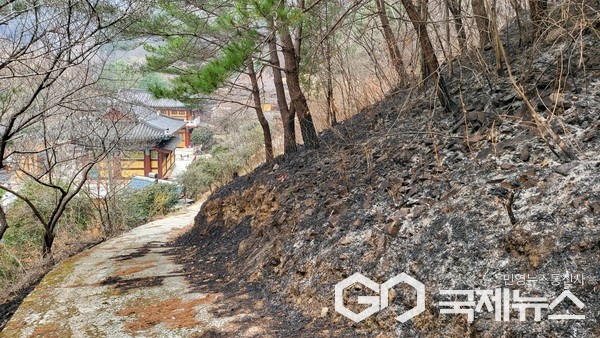 청계사 앞까지 다가온 산불 사진/하동군