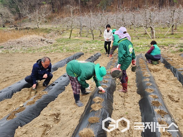 (제공=영동군청)