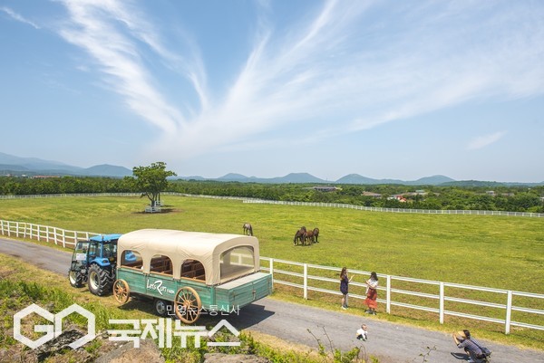  제주목장이 보유한 고유의 인프라와 기능을 활용해 방문객에게 말(馬)을 테마로 한 이색적 체험을 제공하는 휴식공간으로서 기능을 강화한다.[사진=한국마사회 제주목장]