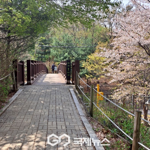 사진/국제뉴스 이재호 기자                              서리풀 다리