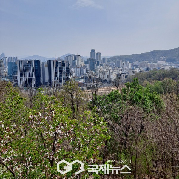 사진/국제뉴스 이재호 기자                서리풀 근린공원에서 본 서울 시내