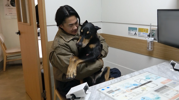 '미우새' (사진=SBS)