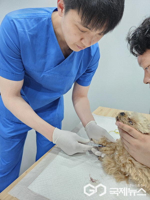 사진제공=대구시청