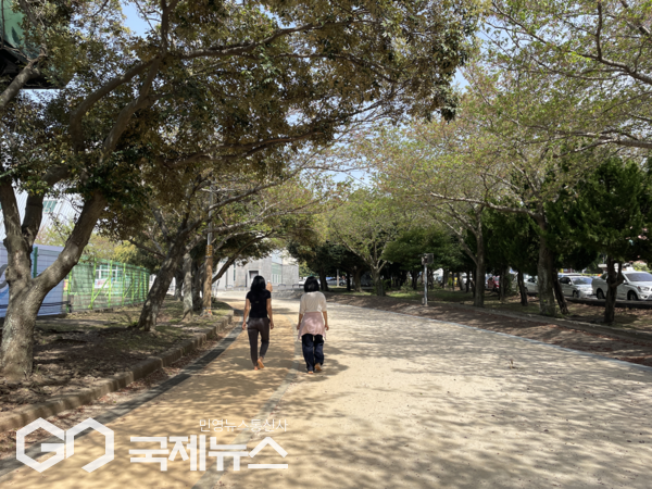 제주시는 지난해부터 올해까지 총사업비 5억 8천만 원을 투입해 종합경기장 내 애향운동장 산책로를 따라 545m 규모의 건식 황톳길 조성을 추진하고 있다.[사진=제주시청]