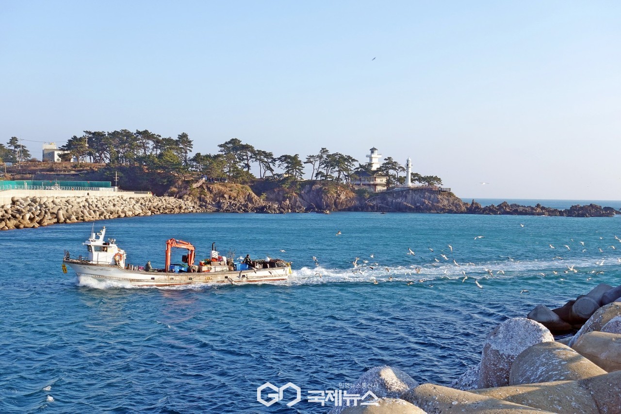 (제공=경주시) 감포항 전경