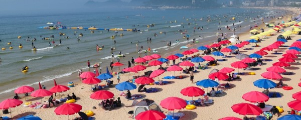 충남 태안군 소재 해수욕장(사진/태안군 제공)