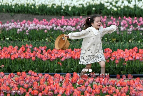 사진제공/AFP통신