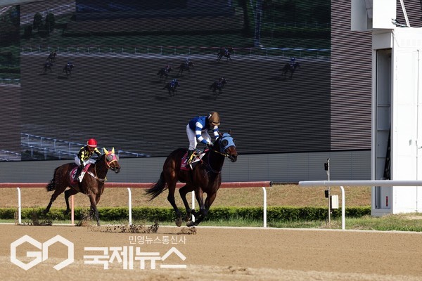 판타스틱밸류의 우승 모습/제공=마사회 부경