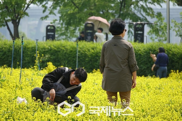 국제뉴스/김태호 기자