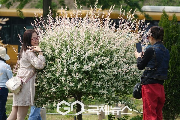 국제뉴스/김태호 기자