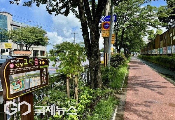 제주시는 2억원을 들여 학생들의 안전하고 쾌적한 통학 환경을 제공하기 위해 곽금초등학교 주변을 ‘자녀안심 그린숲’으로 오는 6월까지 조성을 완료한다.[사진=제주시]