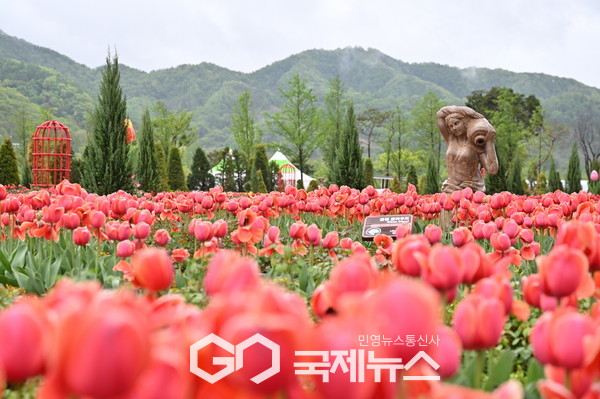 ▶ ‘2025 포천 한탄강 봄 가든페스타’ 개막 44일간 운영<사진제공=포천시>