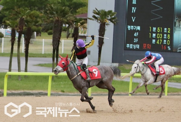 지난 10일 렛츠런파크 제주에서 열린 제20회 KCTV배 대상경주(1400m, 총상금 6천만원)에서 김준호 기수와 호흡을 맞춘‘고질라(거, 9세)’가 우승을 차지했다.[사진=렛츠런파크 제주]