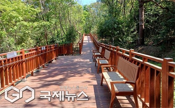 이기대 예술공원 조성지에 완공된 '숲속 산책길' 모습/제공=부산시