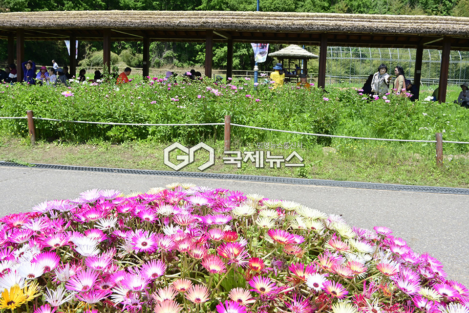 단오 앞둔 5월의 휴일/인천대공원 표정 (사진=안희영 기자)