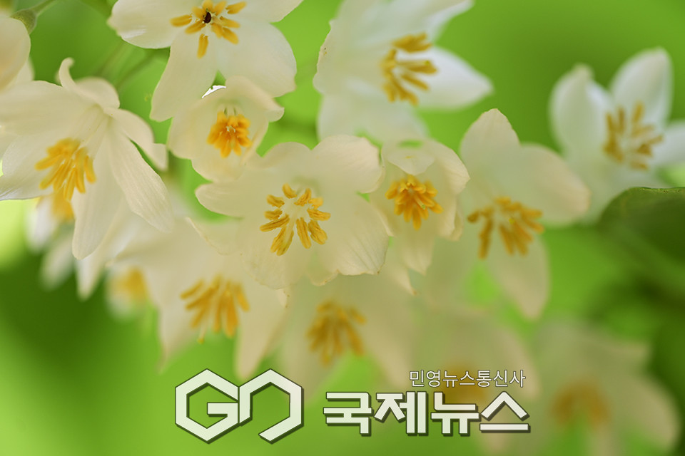 단오 앞둔 5월의 휴일/인천대공원 표정 (사진=안희영 기자)