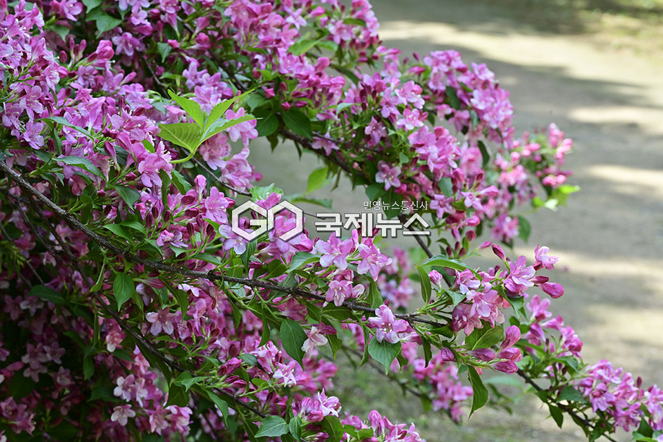 단오 앞둔 5월의 휴일/인천대공원 표정 (사진=안희영 기자)