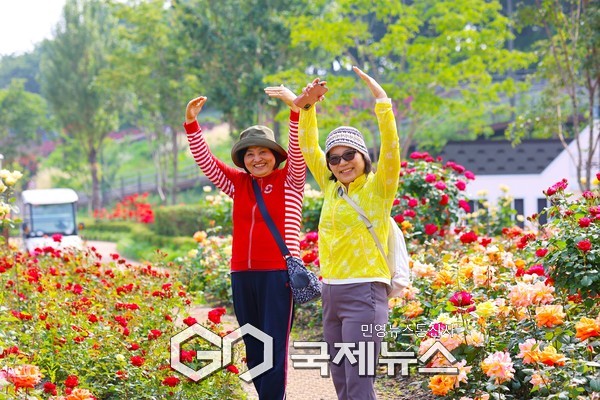 장미가 만개한 안양천에서 주민들이 사진을 찍고 있다.(사진=구로구청)