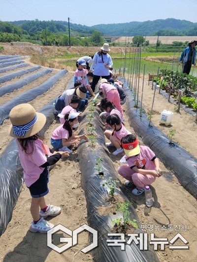 체험 모습.(제공=증평군청)