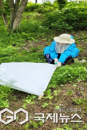 진드기 채집 모습.(제공=충북도청)