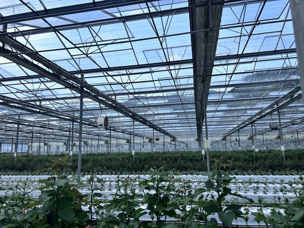                                                        (사진=장수군)시설 온실 모습