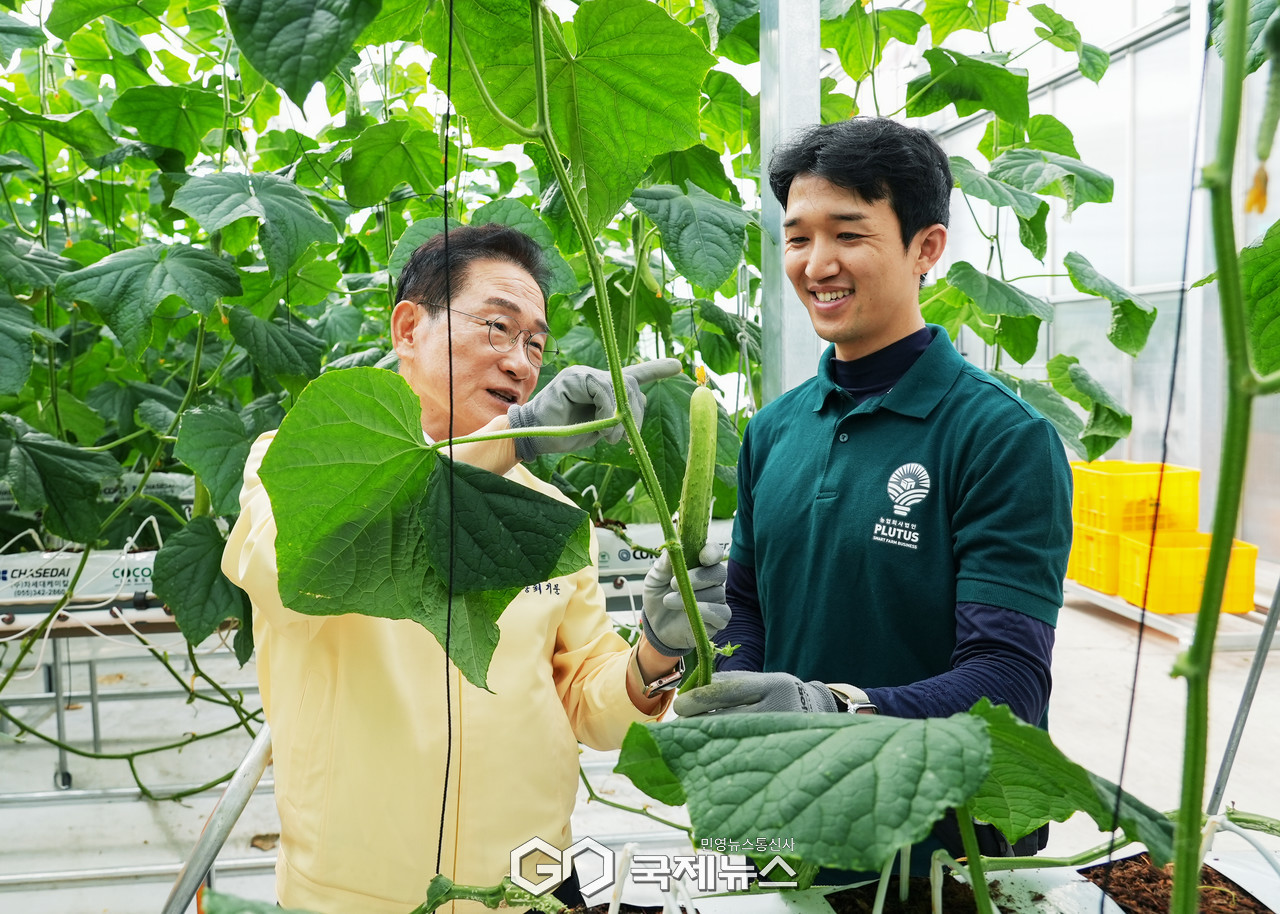 (제공=영천시) 오이 첫 수확을 시작한 지역특화 임대형 스마트팜에 입주한 청년농업인과 최기문 영천시장