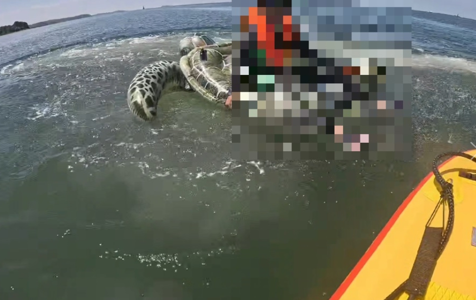 12일 충남 태안군 백사장해수욕장 튜브 표류자 구조장면(사진/태안해경 제공)