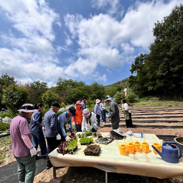  사진은 포항시 북구보건소가 첫 회기 때 흥해읍 매산리에 위치한 치유농장 '맘꽃놀자'에서 탓밭을 조성하기 위한 수업을 하는 모습. (사진 = 김윤희 독자 제공)