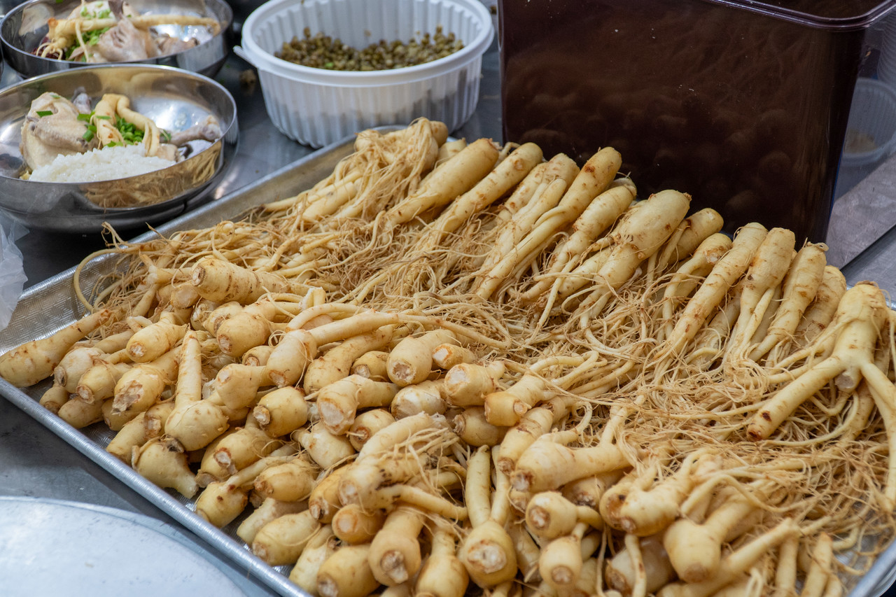    삼계탕에 들어갈 금산의 자랑 금산인삼