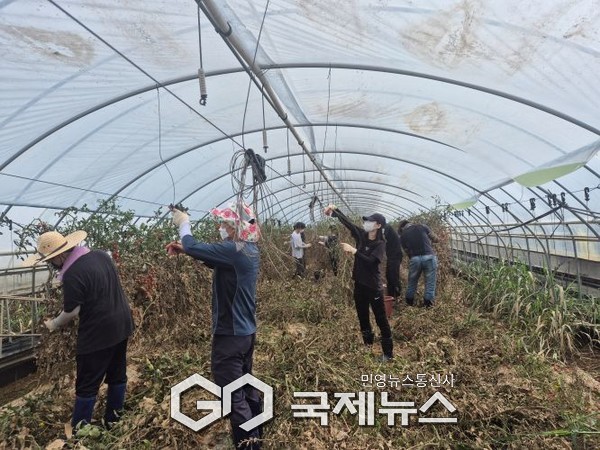 폭우 피해 농가 찾아 일손돕기 ‘구슬땀’/충남도청 제공