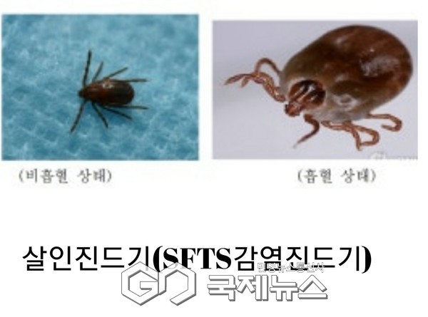 사진 =국제뉴스 DB