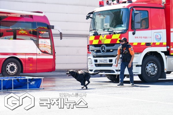 제주도 소방안전본부가 화학테러, 대형재난, 산악사고 등 복잡하고 치명적인 특수 재난 상황에 신속히 대응할 ‘119특수대응단’을 본격 가동한다.[사진=제주도 소방안전본부]