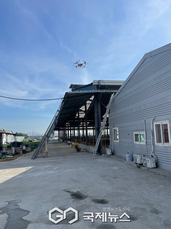 천안시가 드론을 이용해 축사 지붕에 차열페인트를 도포했다.(사진/천안시 제공)