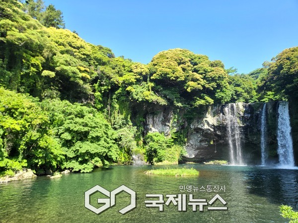 제주도 천지연폭포(2023년).(사진제공.국립수목원)