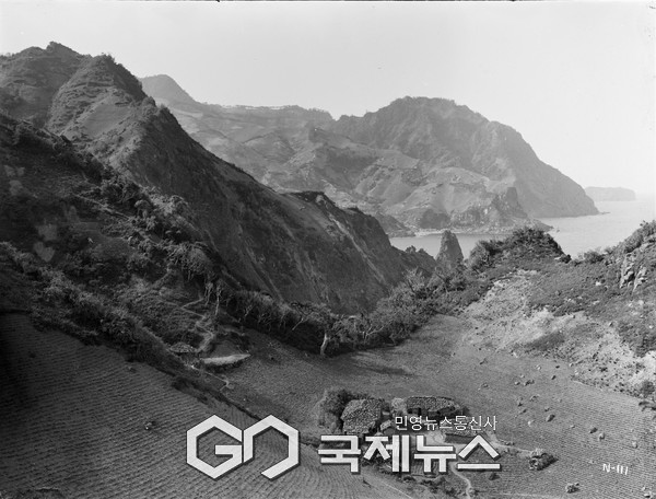 울릉도 도동(1917년).(사진제공.국립수목원)