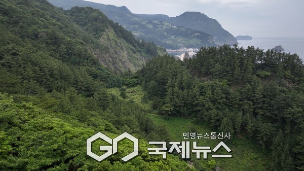 울릉도 도동(현).(사진제공.국립수목원)