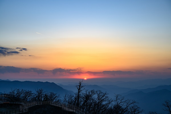 <사진제공=정선군>