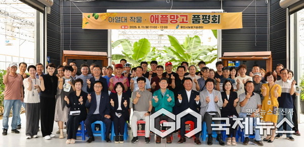 용인특례시는 11일 농업기술센터 내 아열대작물 과학영농시설에서 애플망고 품평회를 열었다(사진=용인시)