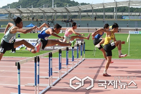 (제공=보은군청)