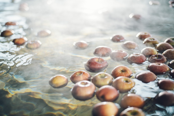 카이 쓰가루. 사진/호시노 리조트