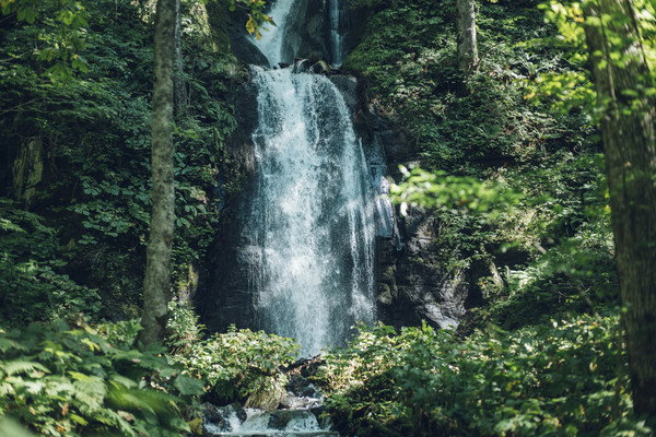오이라세 계류. 사진/호시노 리조트
