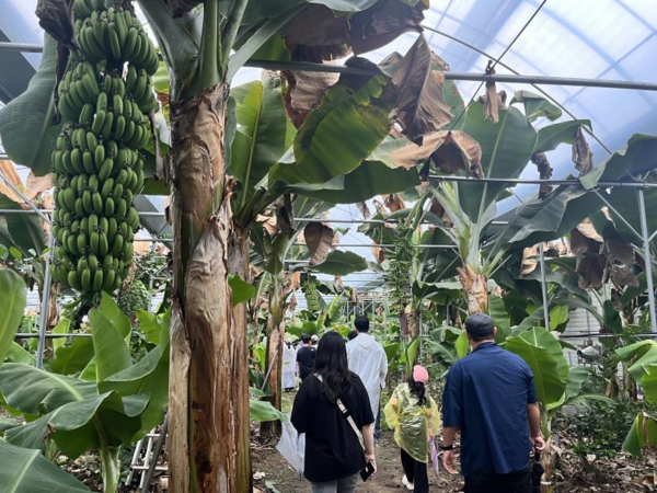 양평에서 농촌체험 중인 시민들(사진=중구청 제공)