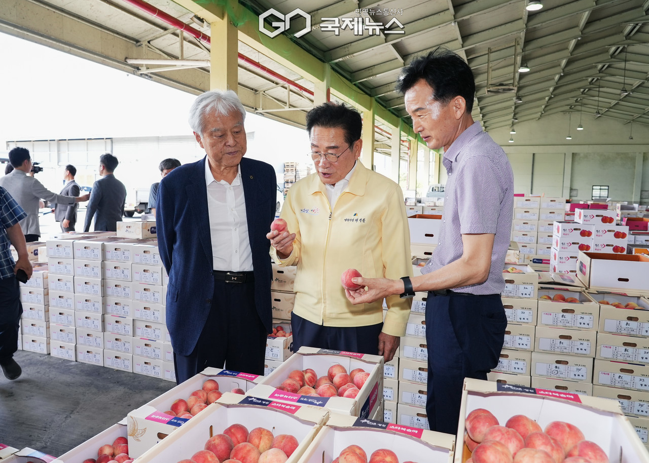 (제공=영천시) 여름철 과일 본격 출하 현장 방문에 나선 최기문 영천시장