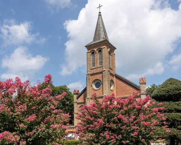 백일홍 만개한 경북 칠곡 가실성당.(사진=칠곡군)