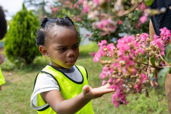 왜관읍 동산애 어린이집 원아들이 활짝 핀 백일홍을 가까이에서 살펴보며 가을의 정취를 만끽하고 있다.(사진=칠곡군)