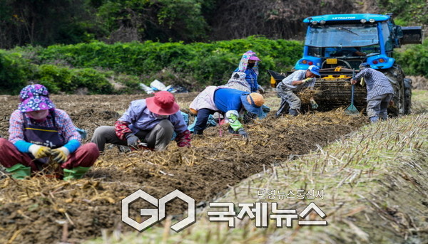 영주시는 오는 9월 22일까지 2026년 상반기 외국인 계절근로자 사업 신청 접수를 받는다