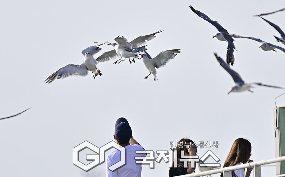 처서 나들이와 소통 행렬, 인천권 표정 (사진=안희영 기자)