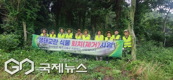 제주시는 야생생물관리협회 제주지부(지부장 고광범)와 함께 올해 5월부터 추진 중인 ‘생태계 교란 식물 퇴치 사업’을 통해 현재까지 약 7.7톤의 교란 식물을 제거했다.[사진=제주시청]